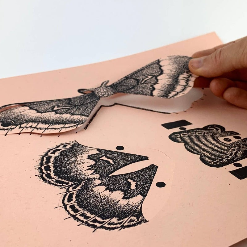 Moth | DIY Paper Sculpture