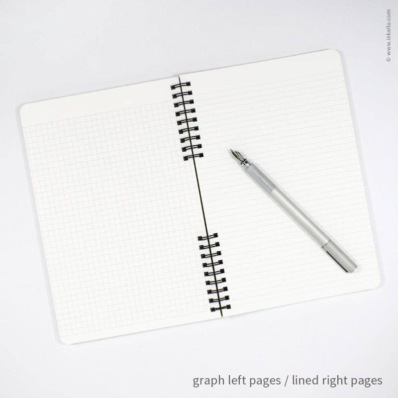 Big Burst in Chartrese | Lined + Graphed Notebook