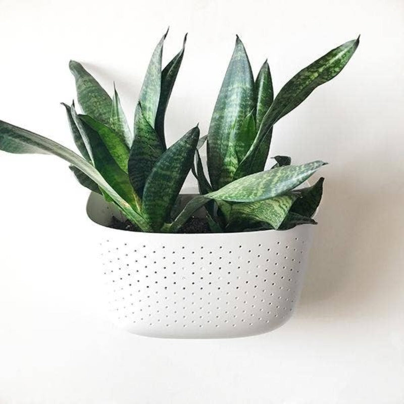 White | Eco Wall Planter