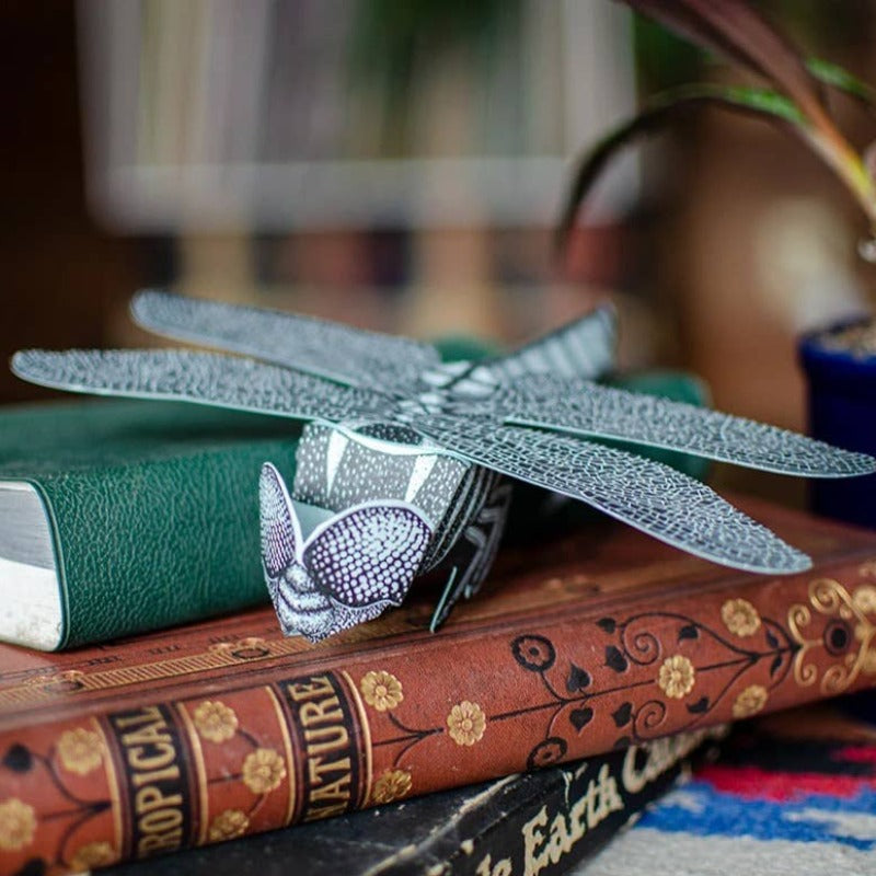 Dragonfly | DIY Paper Sculpture