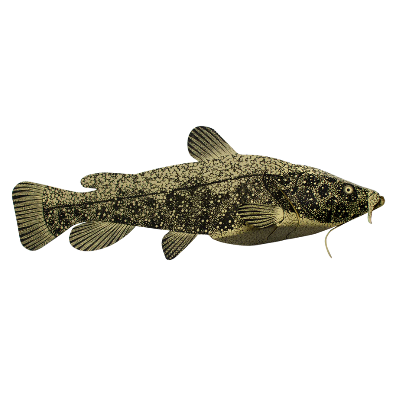 Catfish | DIY Paper Sculpture