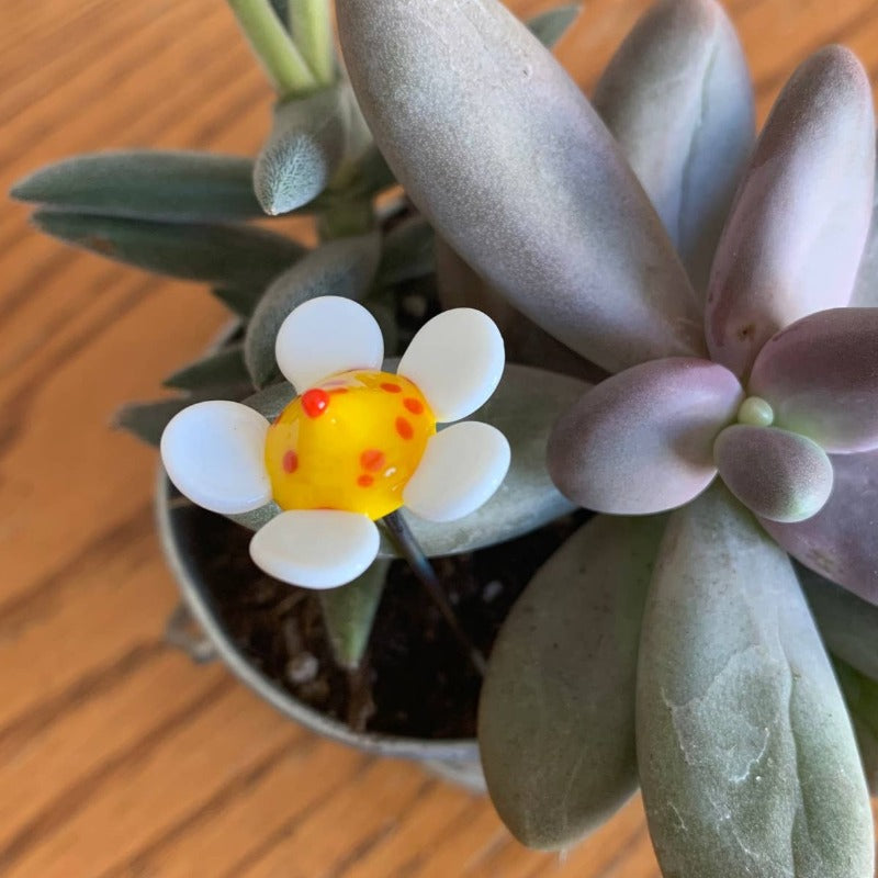 Flower | Glass Plant Pal