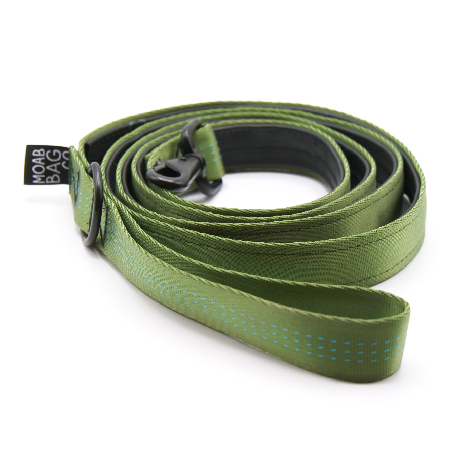Kiwi | Bike Tube Dog Leash