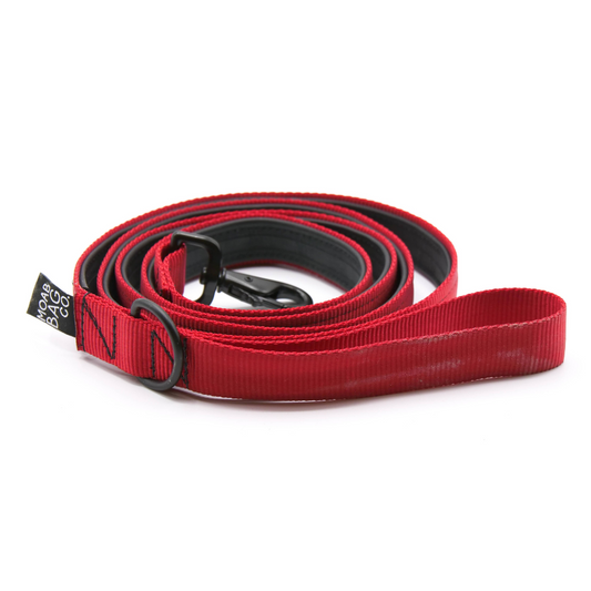 Red | Bike Tube Dog Leash
