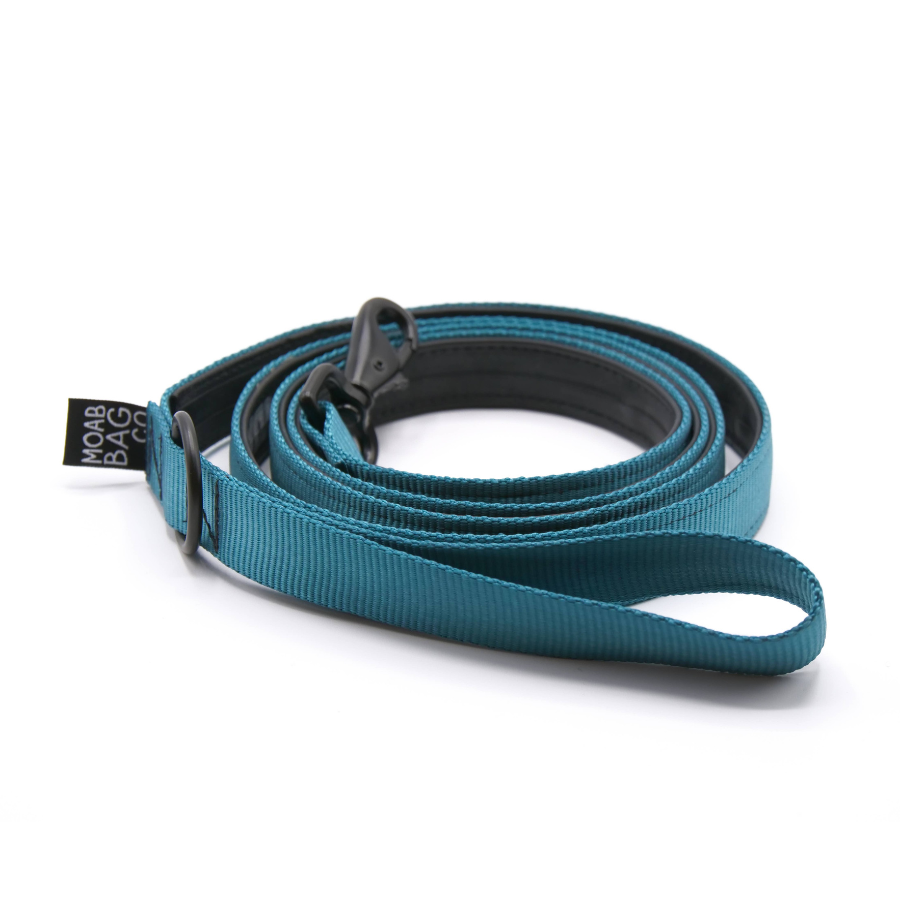 Teal | Bike Tube Dog Leash