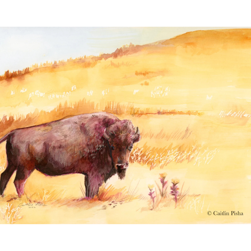 Buffalo on the Prairie | Art Print