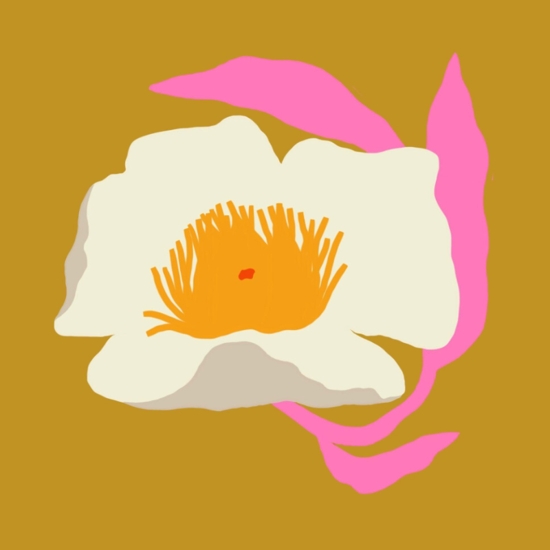 Peony | Vinyl Sticker