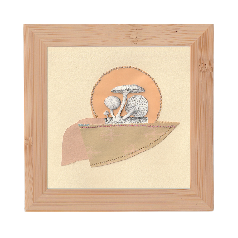 Mushrooms #2 | Original Collage
