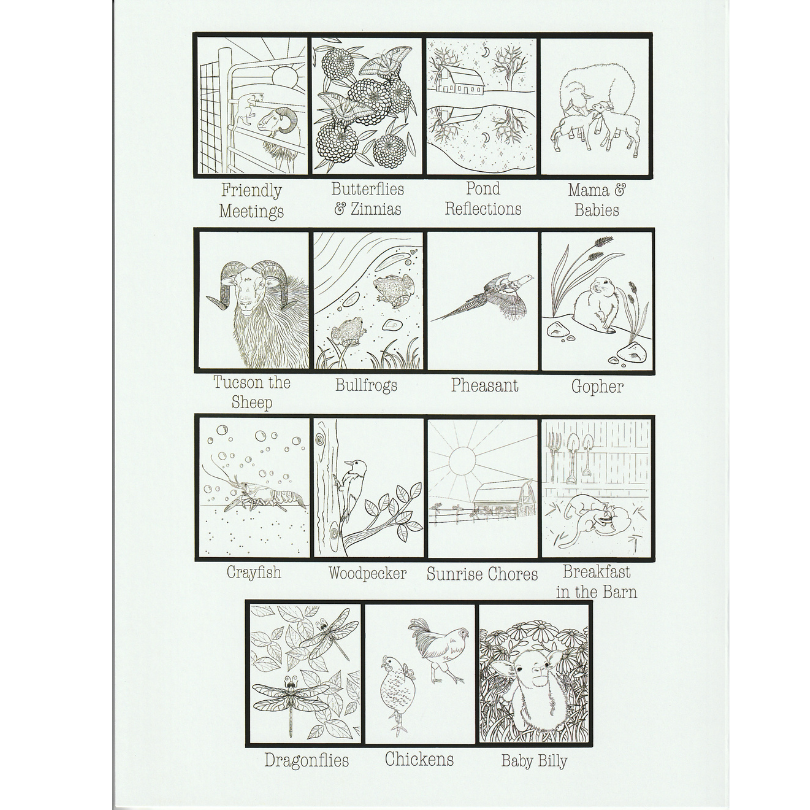 Counting Sheep - A South Dakota Homestead Coloring Book