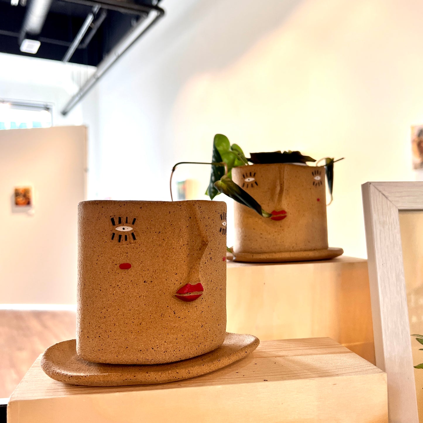 Bright-eyed Ceramic Planter