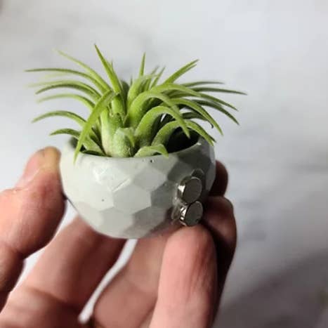 Amethyst + Gold Geode | Mini Planter