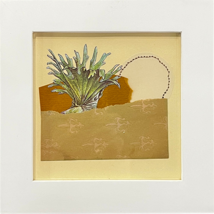 Staghorn Sunrise | Original Collage
