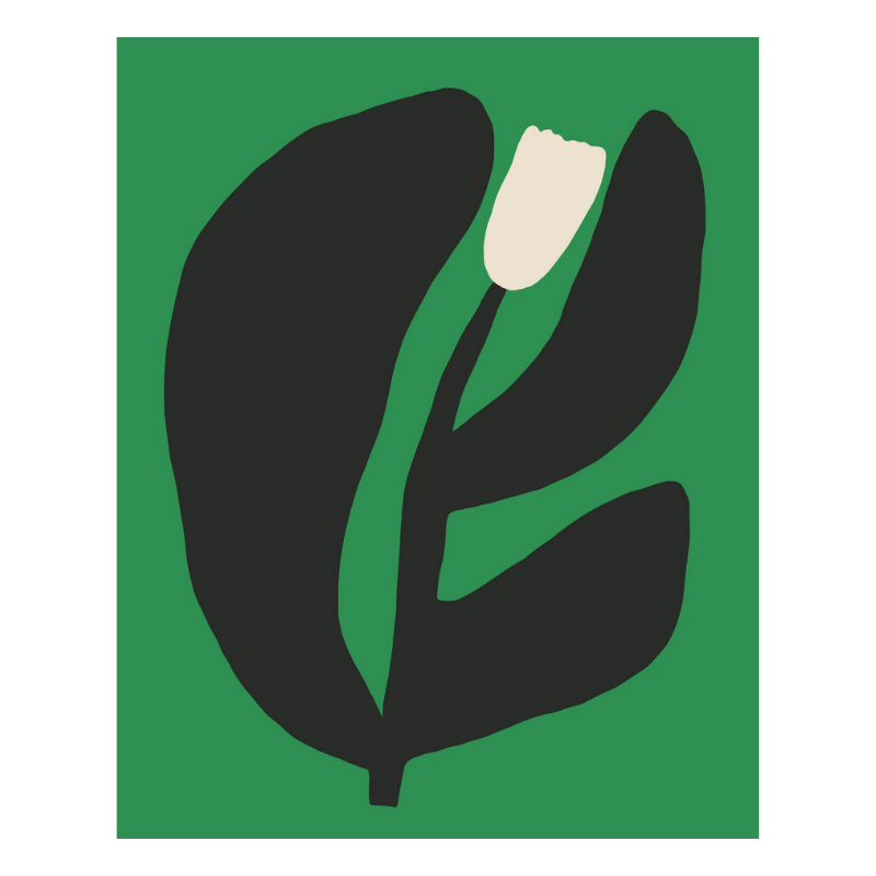 Tulip on Green | Giclee Print