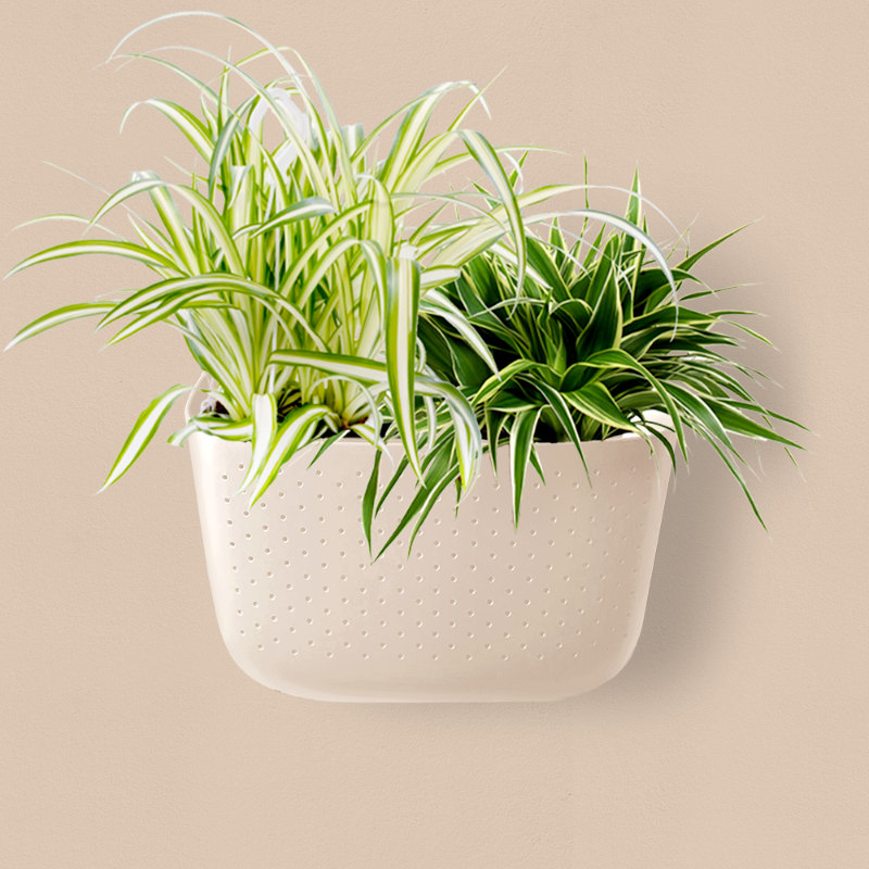Oat | Eco Wall Planter