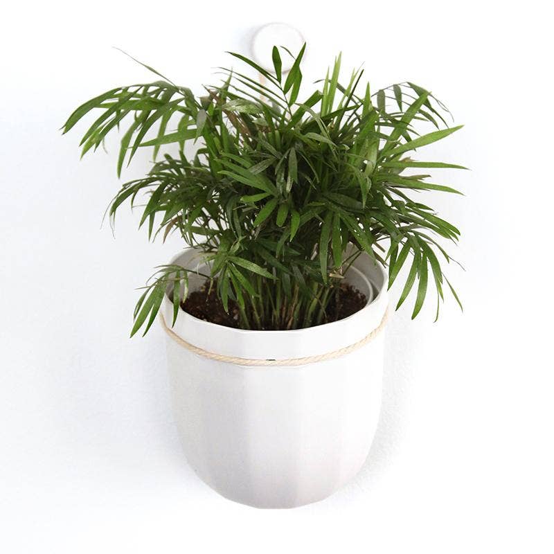 White | Eco Hanging Planter