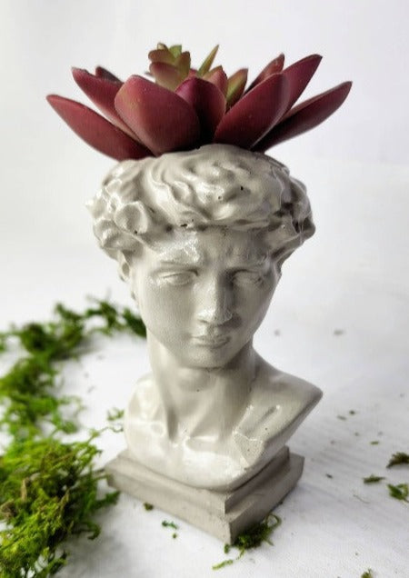 Dave-Head | Concrete Planter