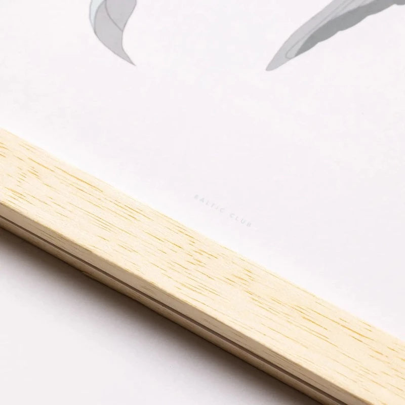Marupa Magnetic Frame | Three Available Sizes