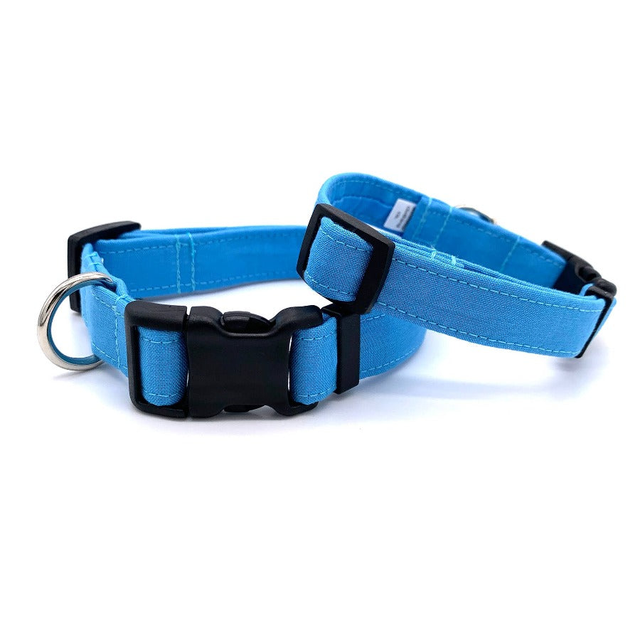 Light Blue Dog Collar | Medium