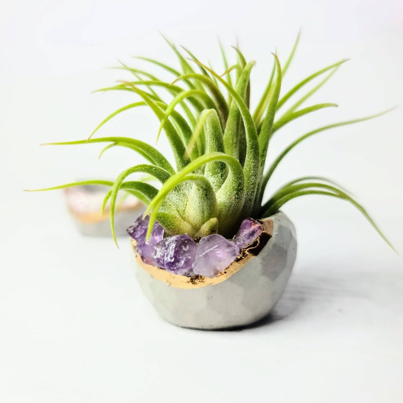 Amethyst + Gold Geode | Mini Planter