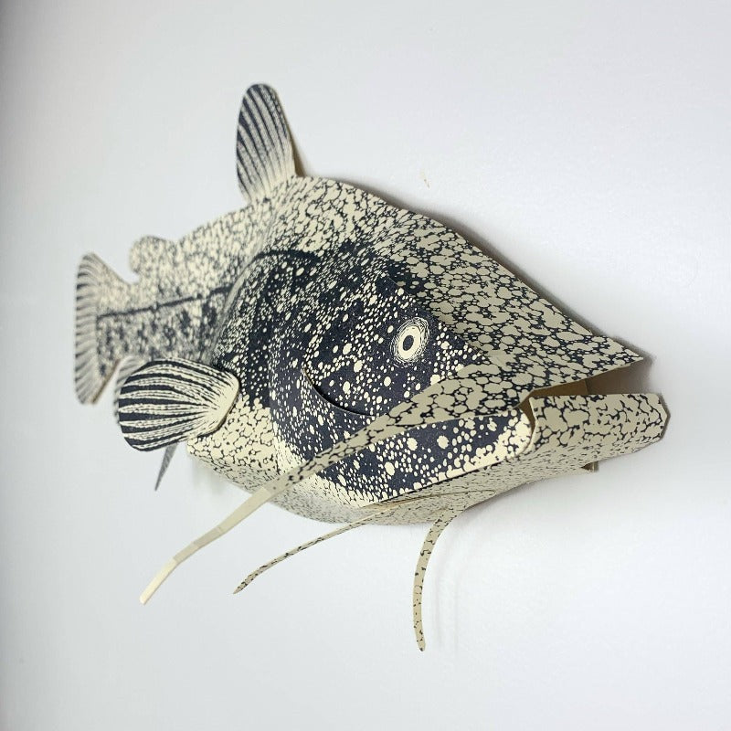 Catfish | DIY Paper Sculpture