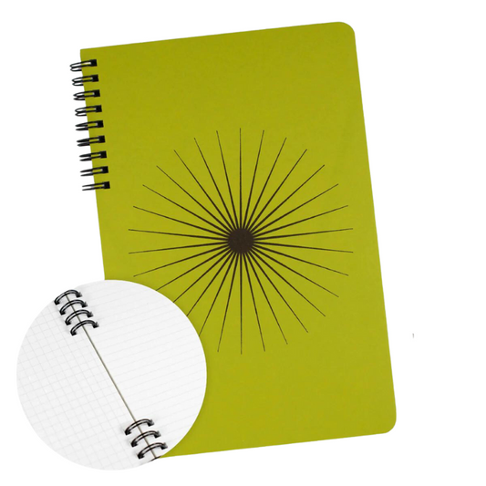 Big Burst in Chartrese | Lined + Graphed Notebook