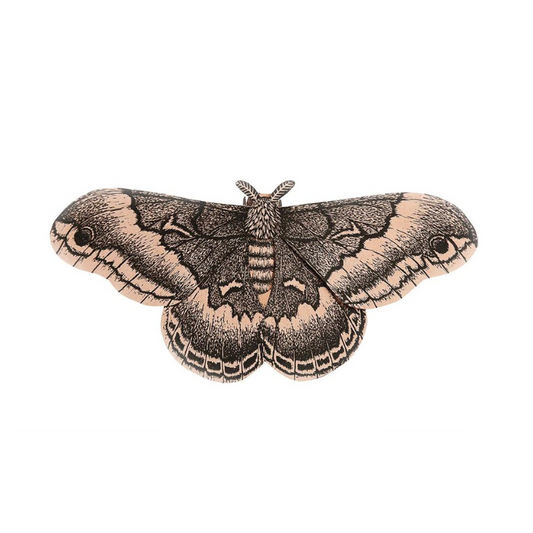 Moth | DIY Paper Sculpture