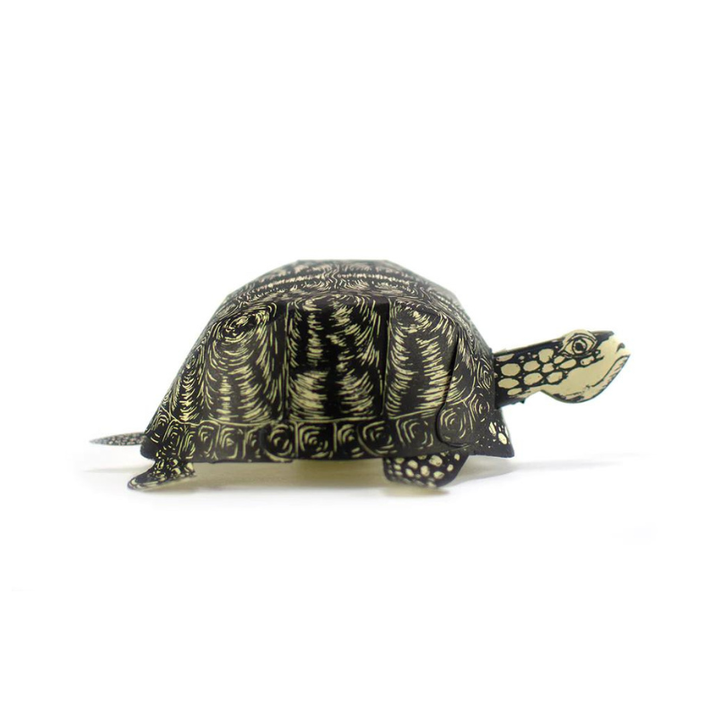 Turtle | DIY Paper Sculpture