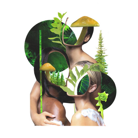 Forest Sisters | Art  Print