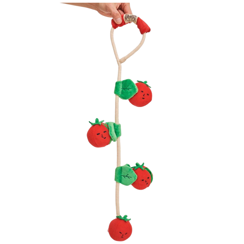 Cherry Tomato Nose Work & Tug Toy