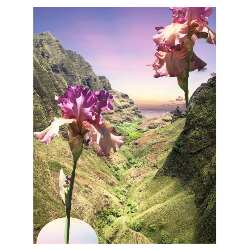 Iris Valley | Art Print