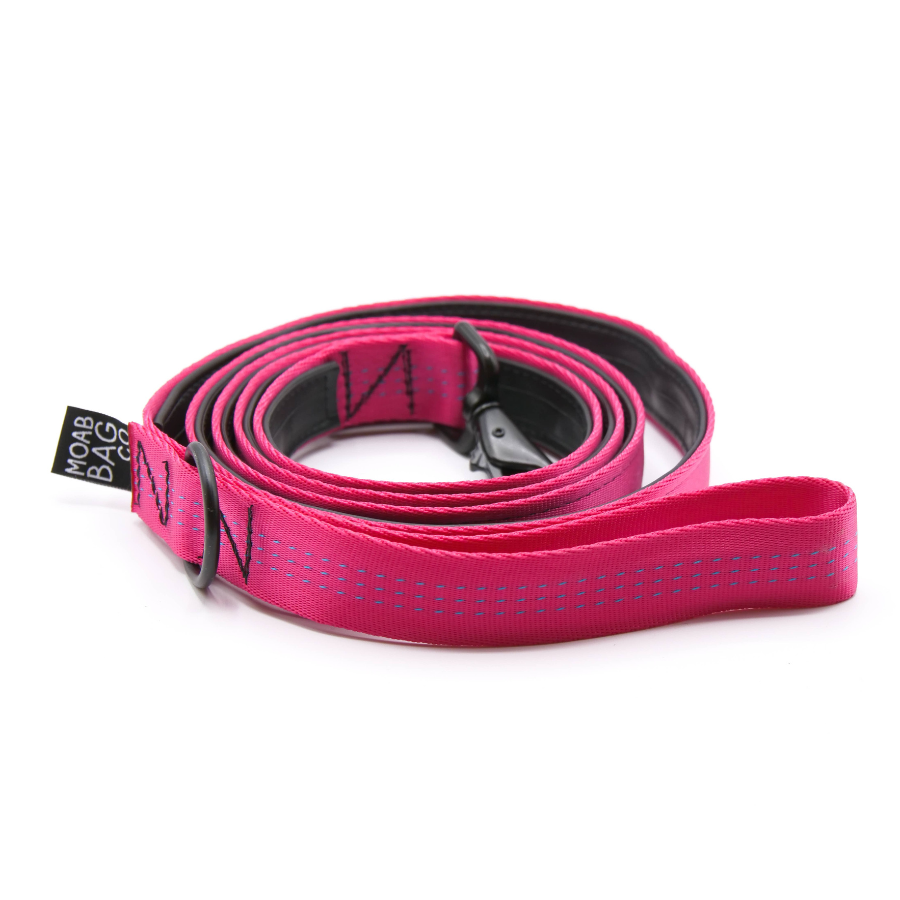 Raspberry | Bike Tube Dog Leash