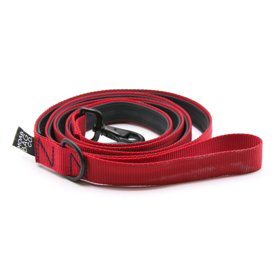 Red | Bike Tube Dog Leash