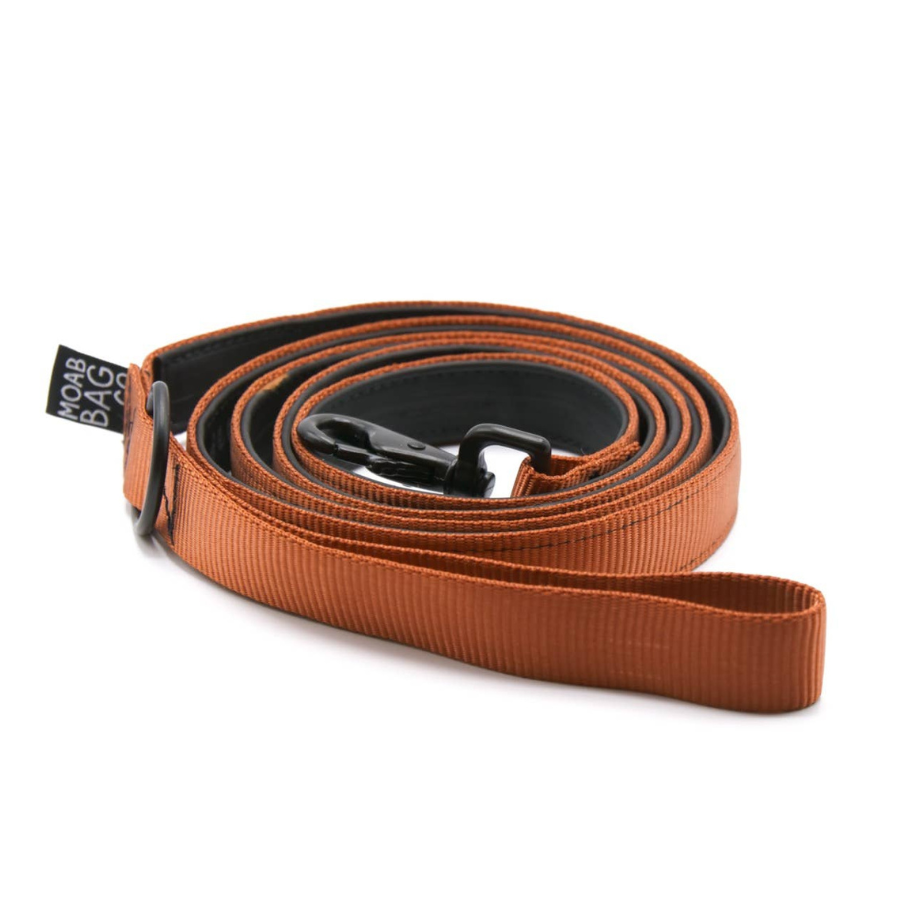 Rust | Bike Tube Dog Leash