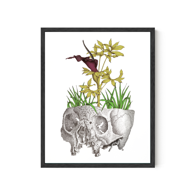 Dracunculus Vulgaris | Art Print