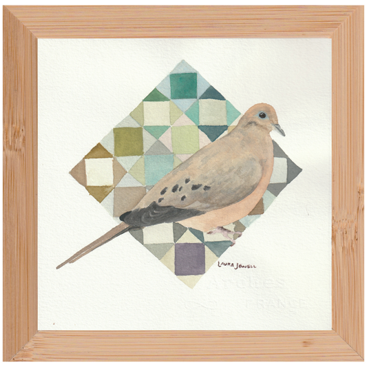 Morning Dove | Framed Watercolor on Paper