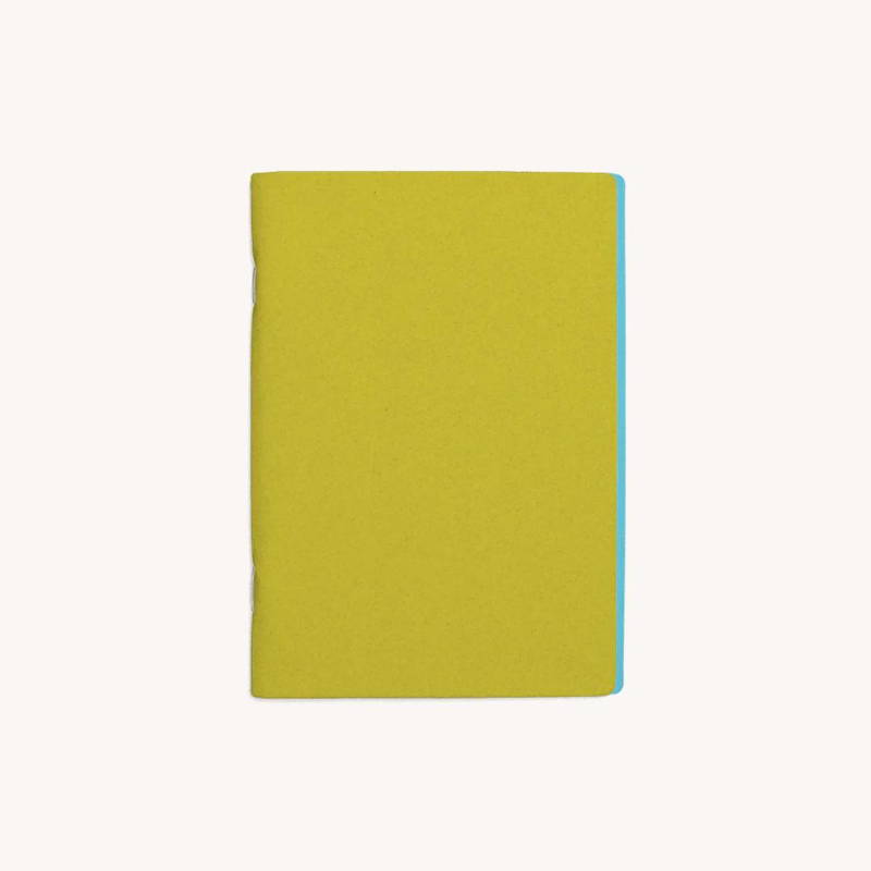 Lily Pad No. 1 | 3 Pack Sketchbooks