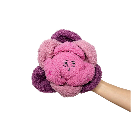 Red Cabbage Nose Work Toy