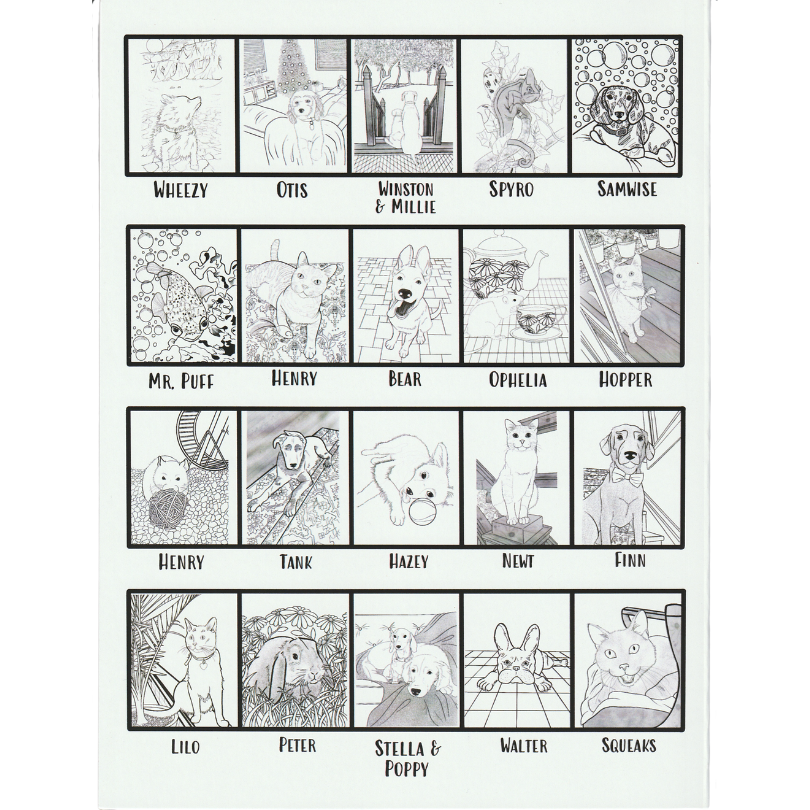 Pets! A Coloring Book