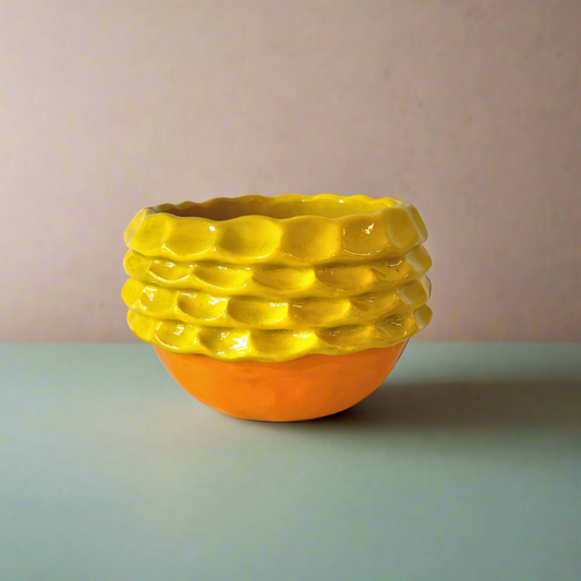 Exposed Coil Bowl in Citrus