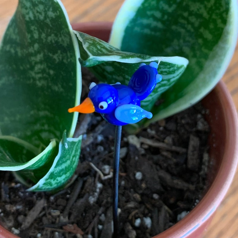 Blue Bird | Glass Plant Pal