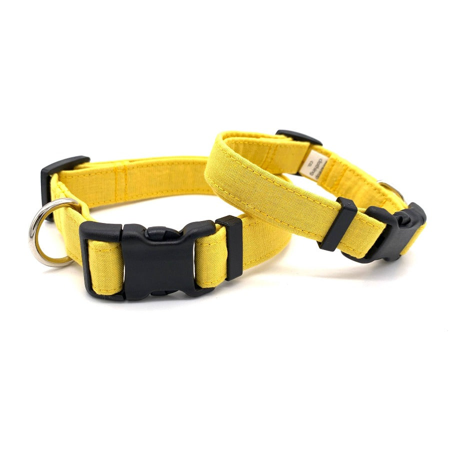 Yellow Dog Collar | Large