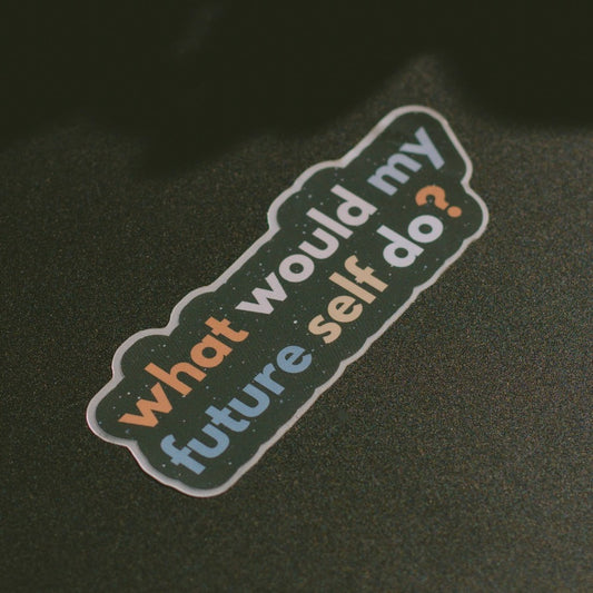 What Would My Future Self Do | Vinyl Sticker