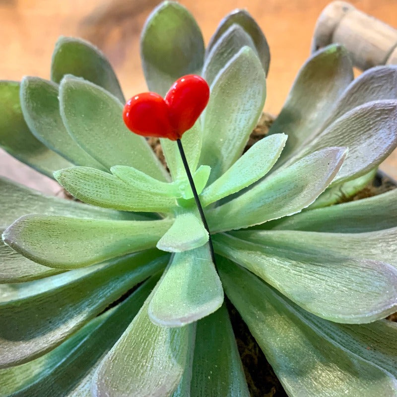 Heart | Glass Plant Pal