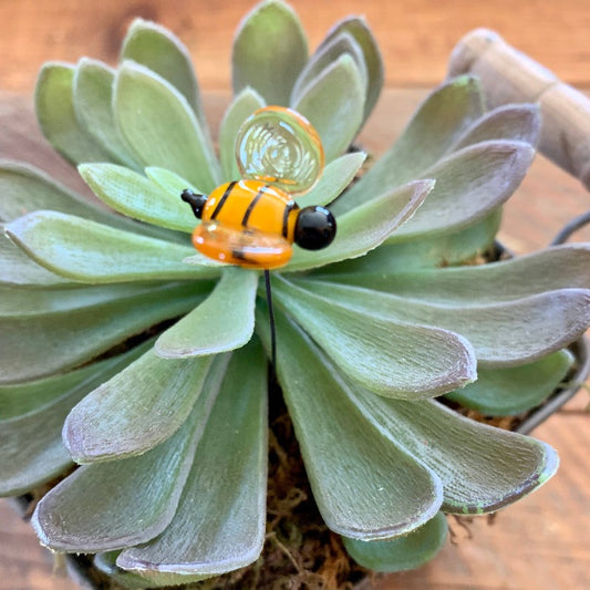 Bee | Glass Plant Pal